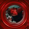 Laura Candy 🐈⬛🥀 profil fotoğrafı