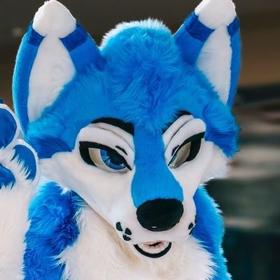 Woodzie 🚑's profile picture