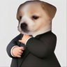 Profilbild von Ishi mashi vataru