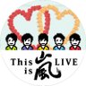 ❤️SとNと磁石💛 的头像