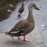Фото профиля ナタ