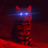 ⟢ nightmare kitten ⟣ 𓃠 的头像
