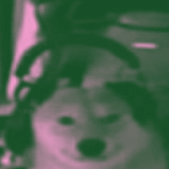frwruru's profile picture