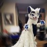 AllaisterFox profil fotoğrafı