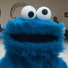 こしゃ🍪💙 profil fotoğrafı