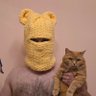 Фото профиля Котоскуф