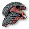 Profilbild von LongJawnSilva