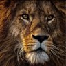 Profilbild von JamesAndrew