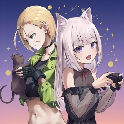 ねるぅ🐈⬛⭐️'s profile picture