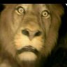 Profilbild von Hakim Bey