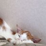 もと profil fotoğrafı