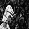 Profilbild von SpookSho