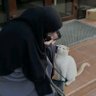 Lili Nour profil fotoğrafı