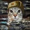 Abrams profil fotoğrafı