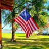 American Patriot's profile picture
