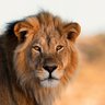Фото профиля Thomas Lindell