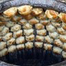 烤包子 的头像