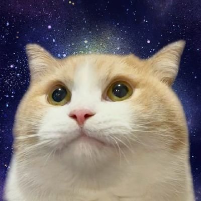 VikingsTrippin's profile picture