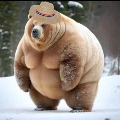 M's profile picture