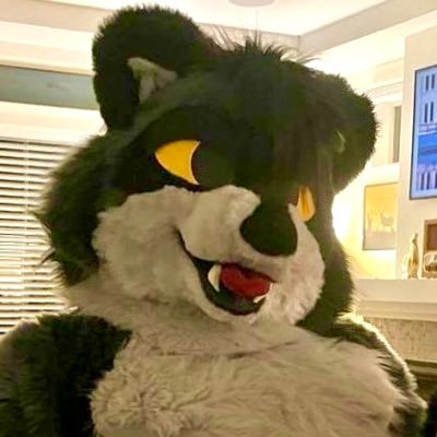 Fritz Frotz's profile picture