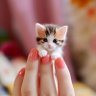 Little heart โฃ๏ธ ็ๅคดๅ