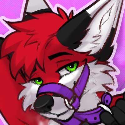 Akito's profile picture