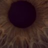 Profilbild von Michelle