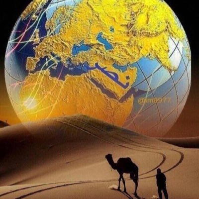 محمد التميمي's profile picture
