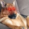 Profilbild von JustYaminashi