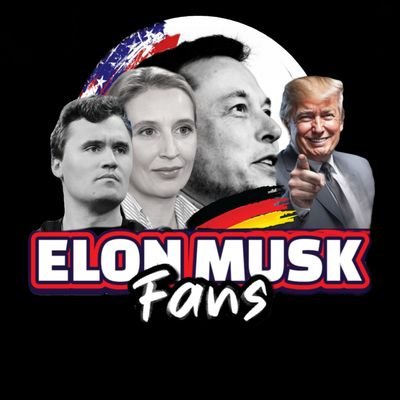 muskelongermany's profile picture