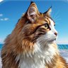 Mew*✧Aqua💎Marine*✧ profil fotoğrafı