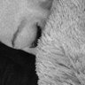 paupaua's profile picture