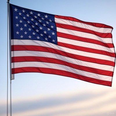 The51USAnews's profile picture