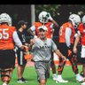 WallofMirabal's profile picture