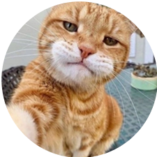 Car's profile picture