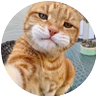 Profilbild von Car