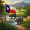 6th Generation Texan 的头像