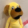 きい🦔💛 的头像