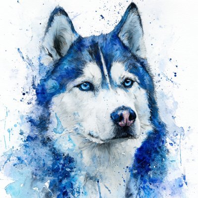 husky__create's profile picture