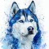 はすきー|Midjourneyマニア🐺's profile picture