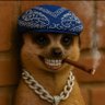 Profilbild von Emma Gold