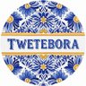 TwetEbora 🇸🇻 的头像
