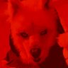 Фото профиля 💀 Death Wolf 🐺 🔜 ASC2026