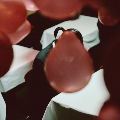 7shiki's profile picture