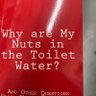 Profilbild von Long Nuts