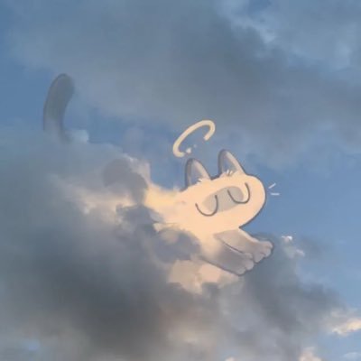 池池睡不醒's profile picture