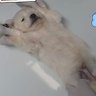 Profilbild von 하루