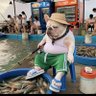 Isaac Briones's profile picture