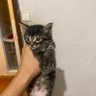 Serkan ata's profile picture
