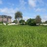 Attapur Today 的头像